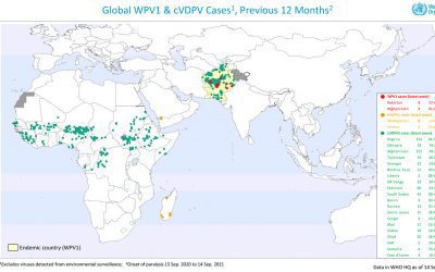 the last 12 months Wild Polio Cases Map