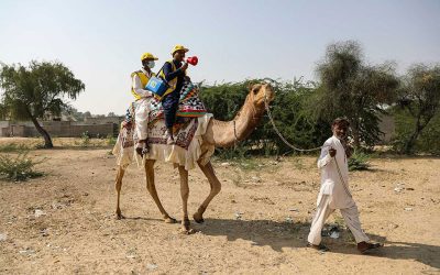 VaCCINATORS TRAVEL BY CAMEL IN PAKISTAN